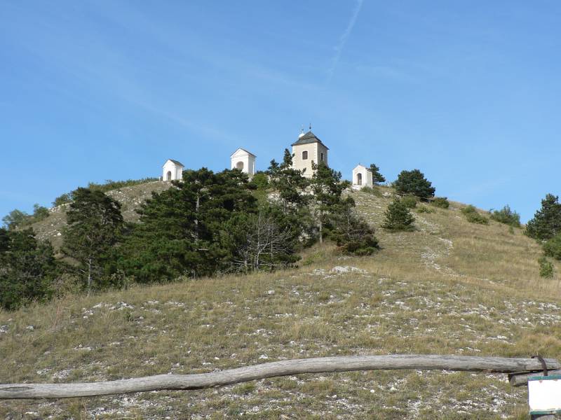 Náhled