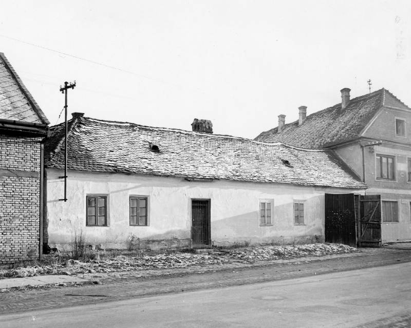 Náhled