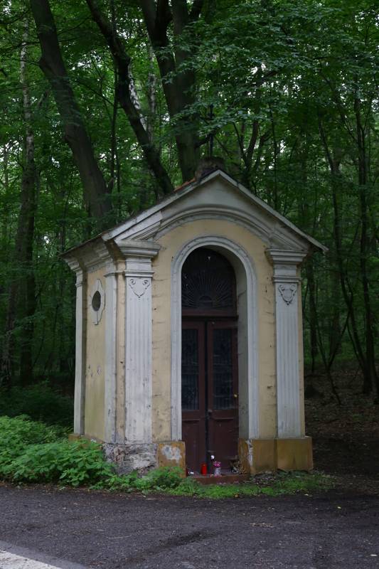 Náhled