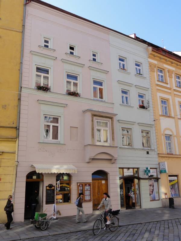 Náhled