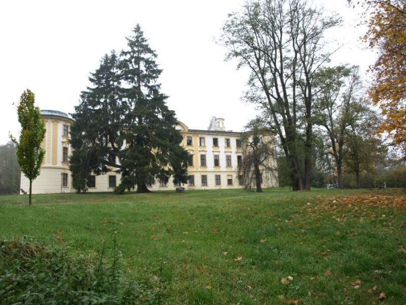 Náhled