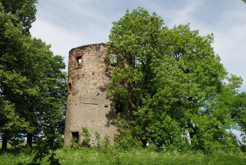 Náhled