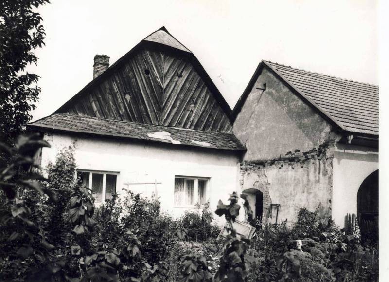 Náhled