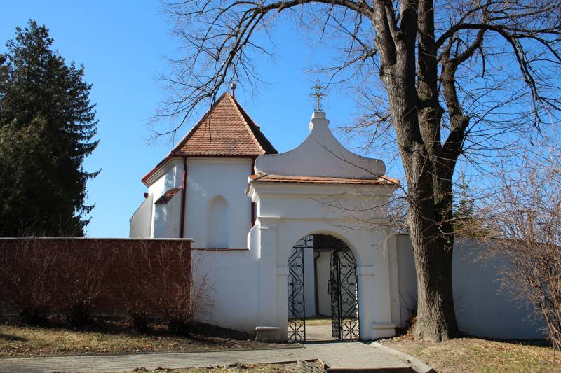 Náhled