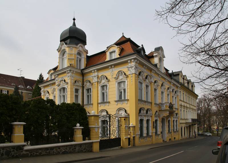 Náhled
