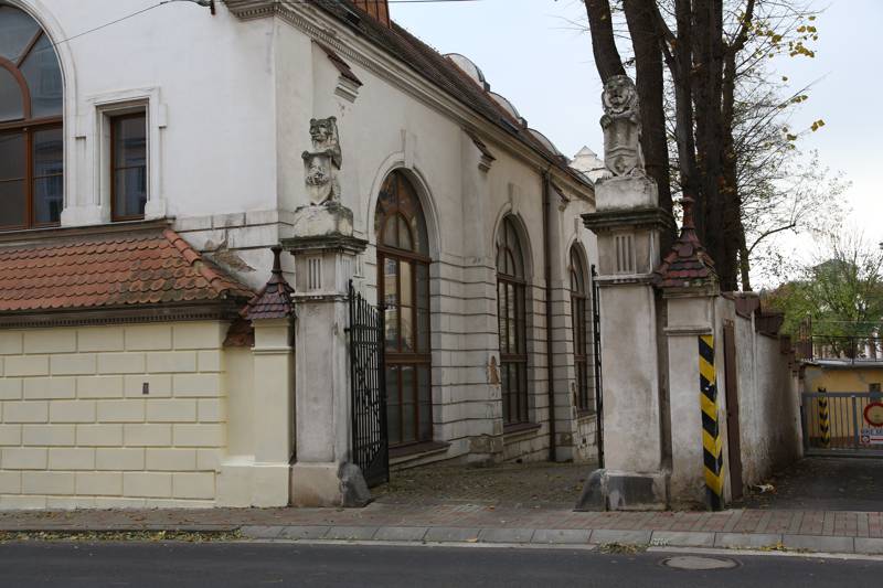 Náhled