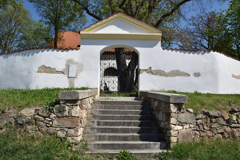 Náhled