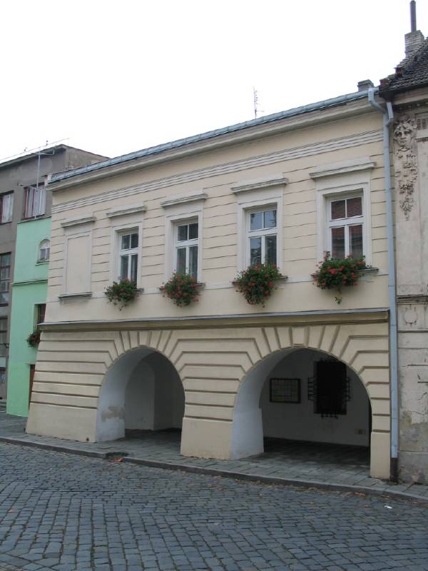Náhled