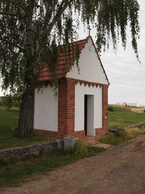 Náhled