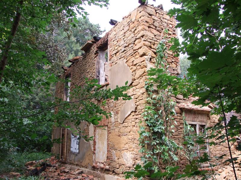 Náhled