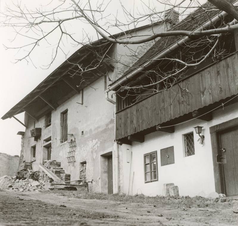 Náhled