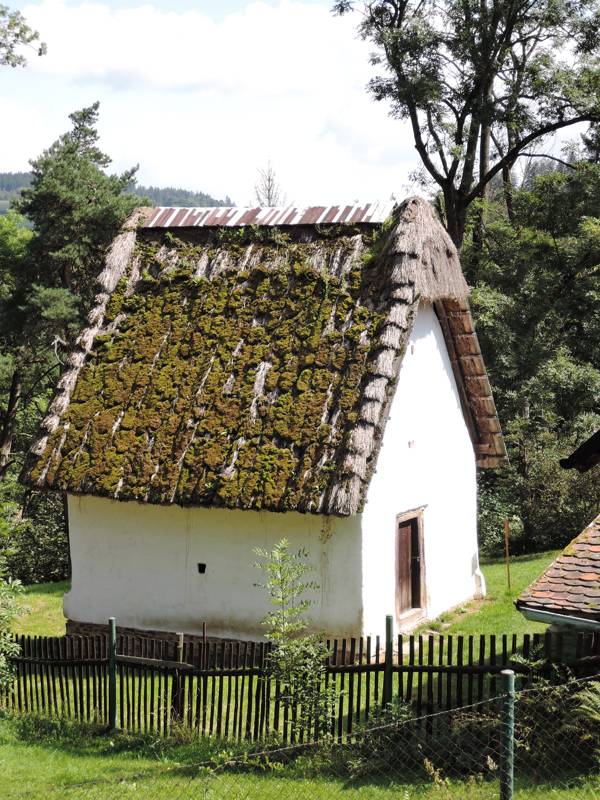 Náhled