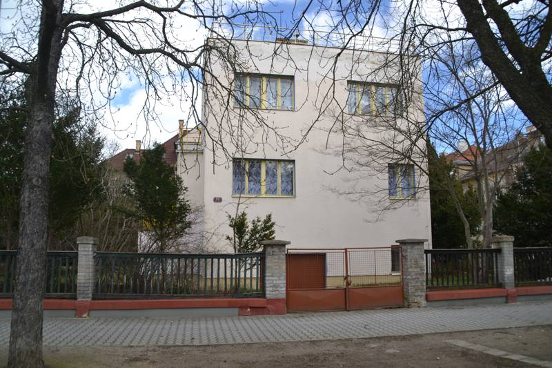 Náhled
