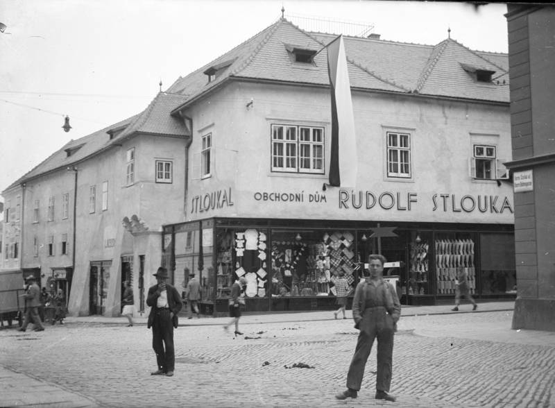Náhled