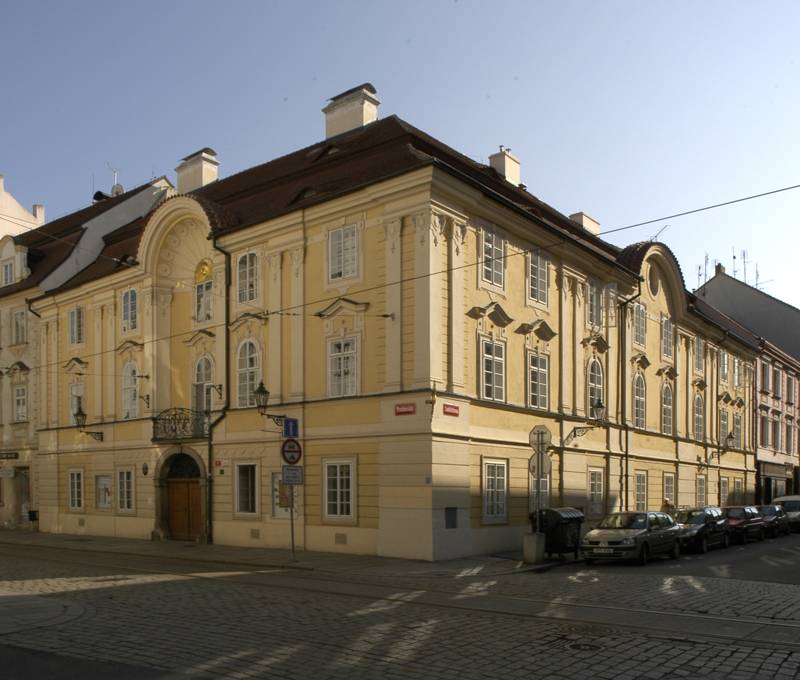 Náhled