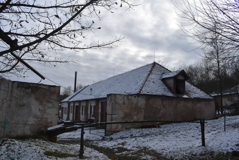 Náhled