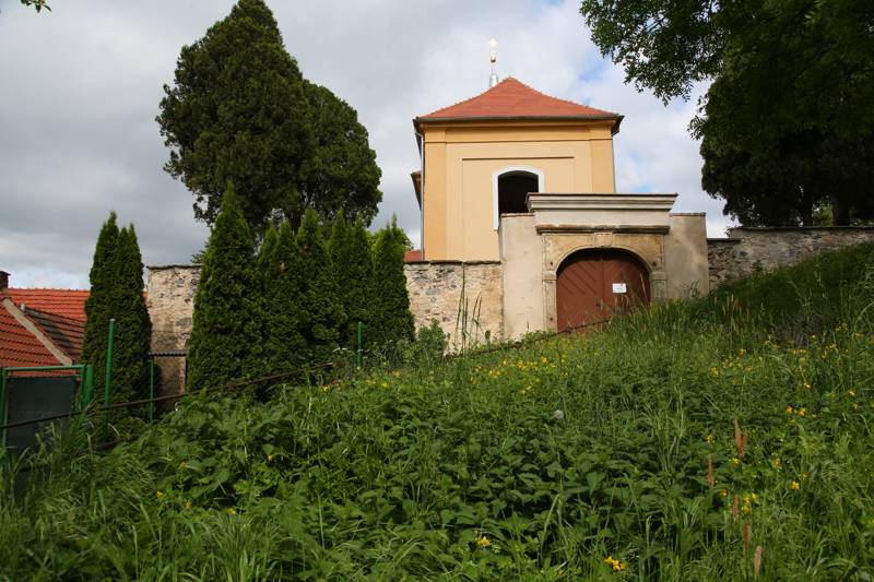 Náhled