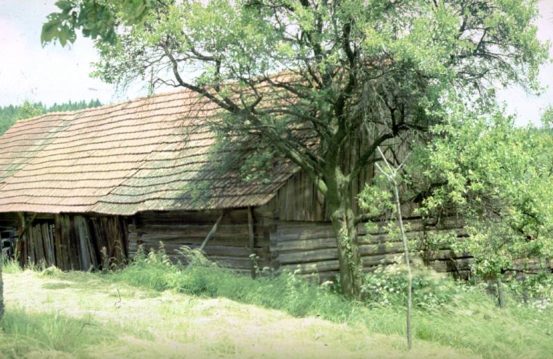 Náhled