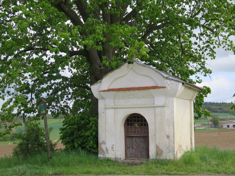 Náhled