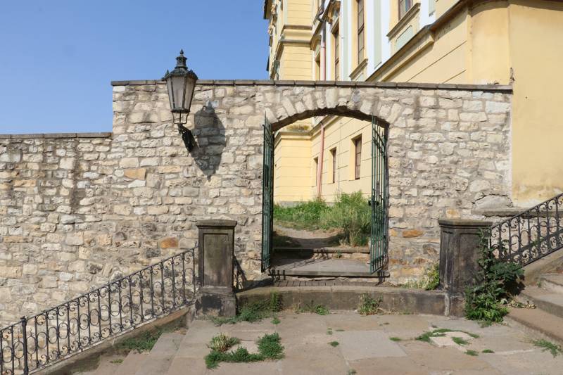 Náhled