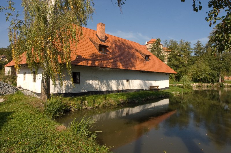 Náhled
