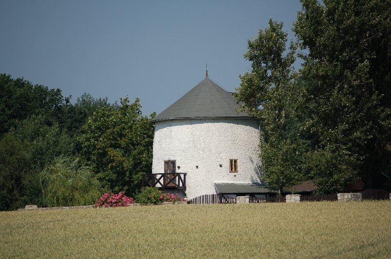 Náhled