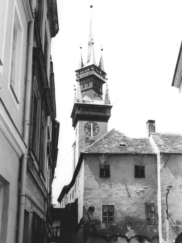 Náhled