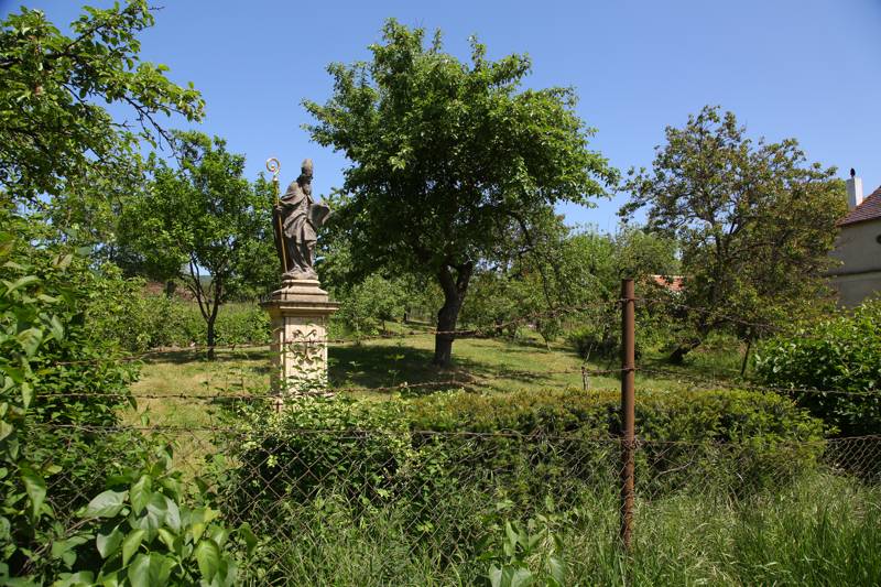 Náhled