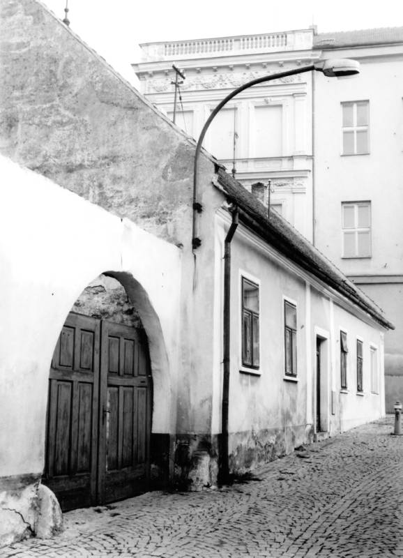 Náhled