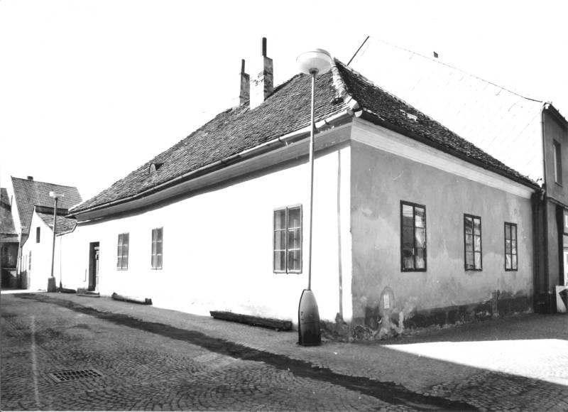 Náhled
