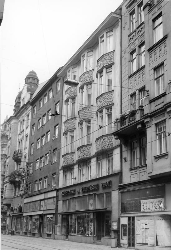 Náhled