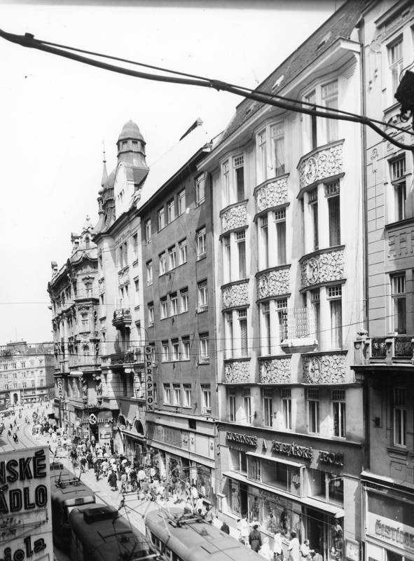 Náhled