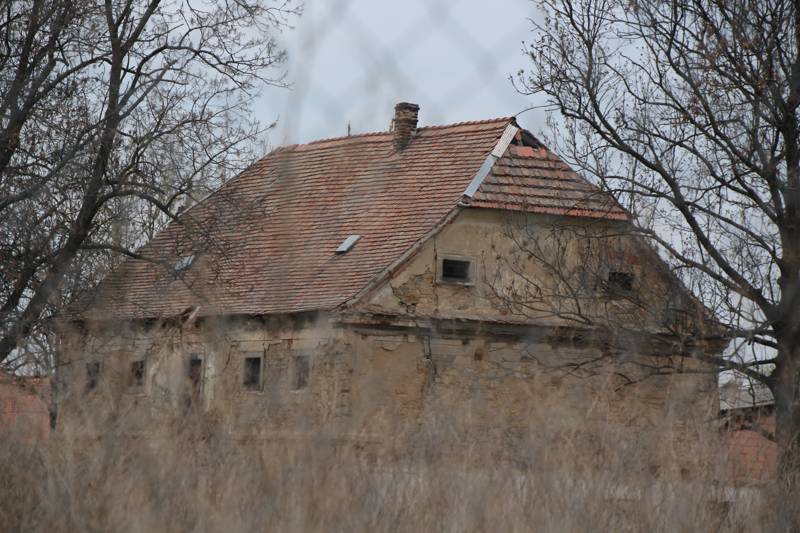 Náhled