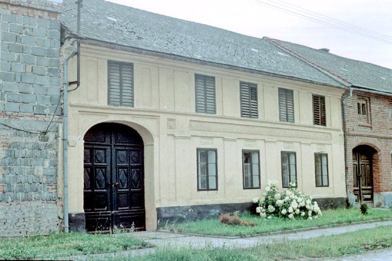 Náhled