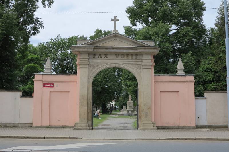 Náhled