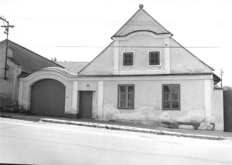 Náhled