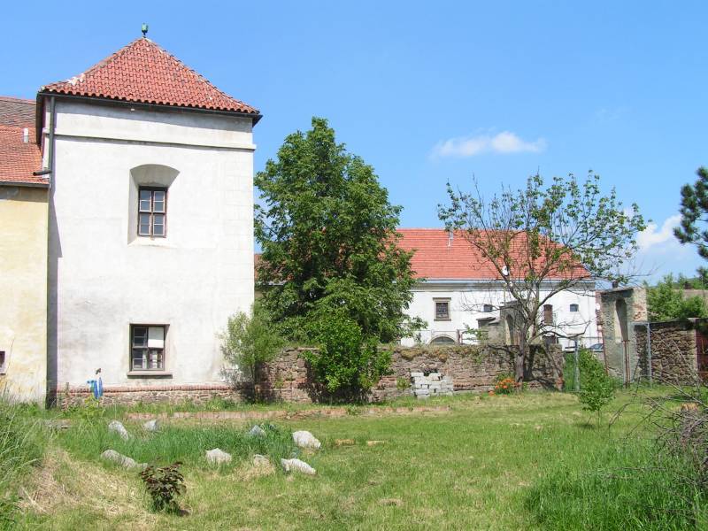 Náhled