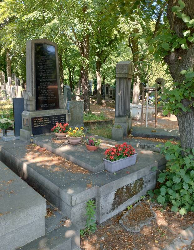 Náhled