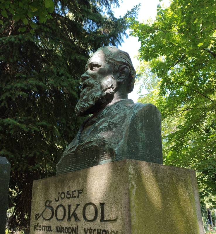 Náhled