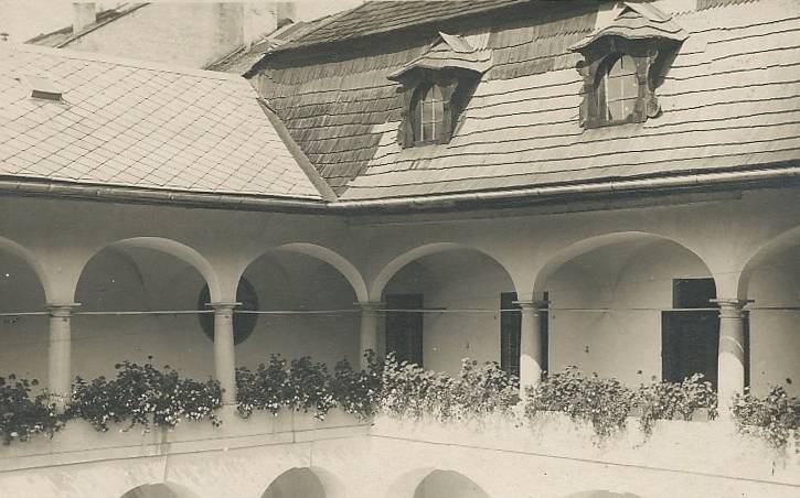Náhled