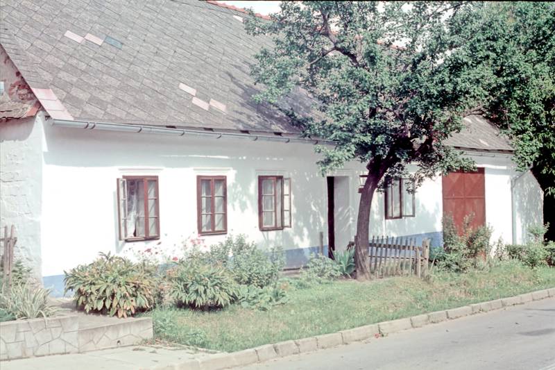 Náhled