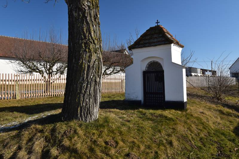 Náhled
