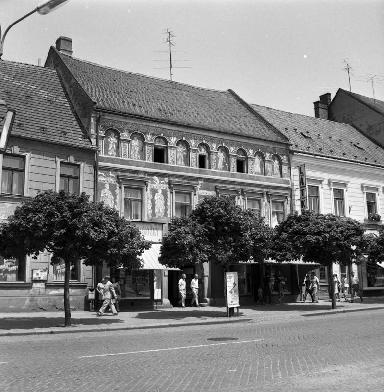 Náhled