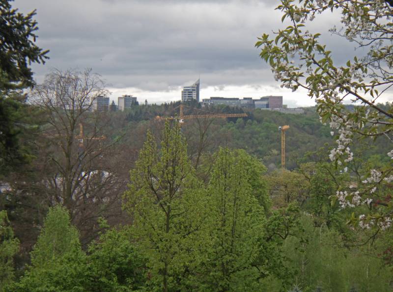 Náhled