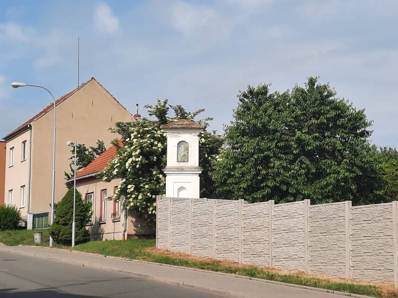 Náhled