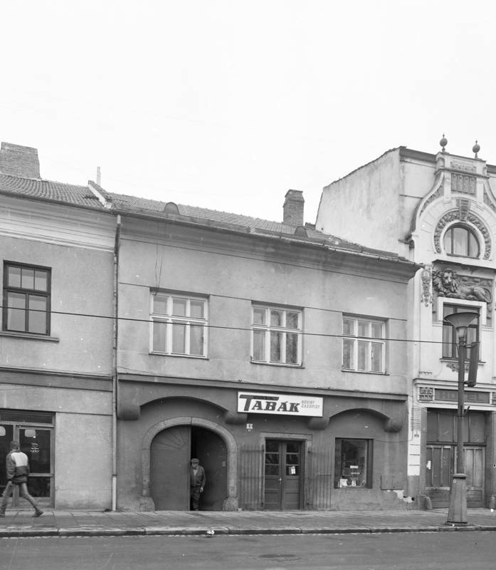 Náhled