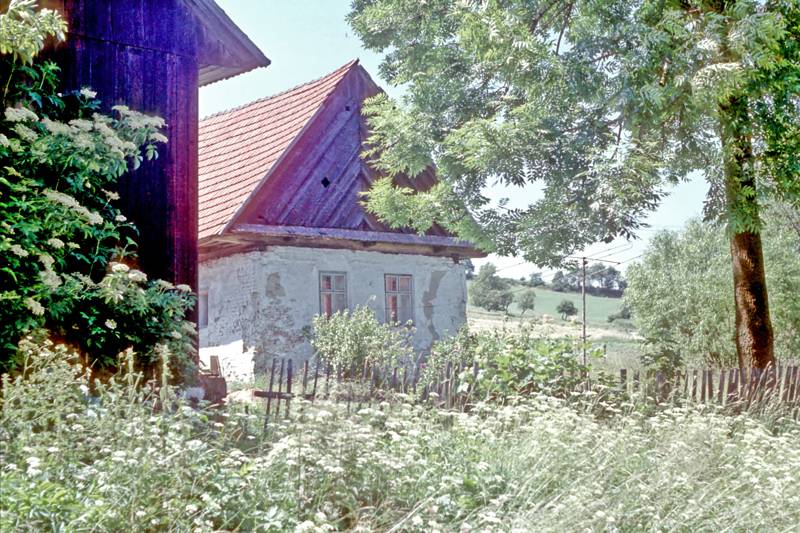 Náhled