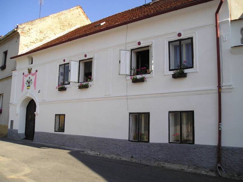 Náhled