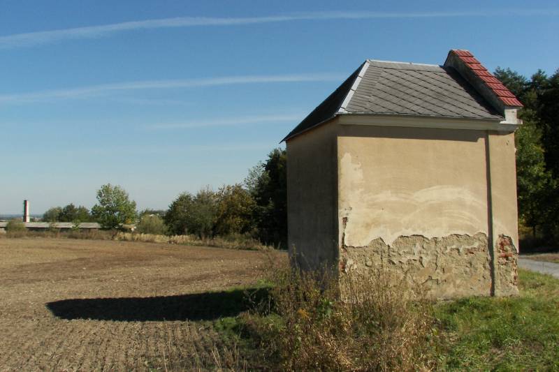 Náhled