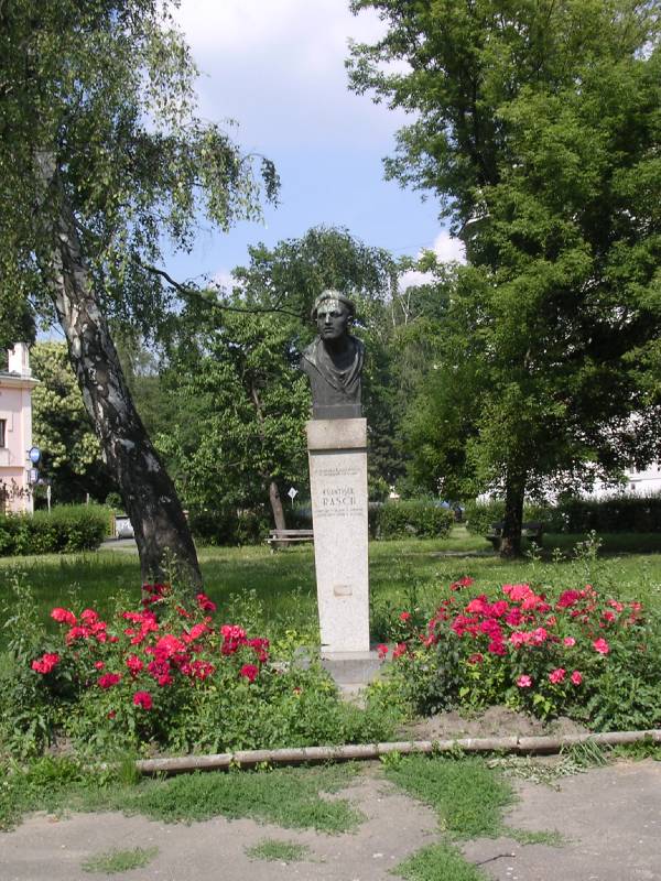 Náhled